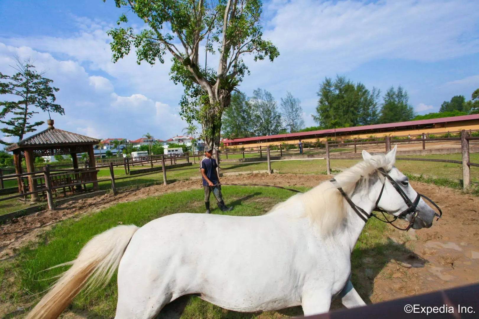 Punggol Ranch Resort