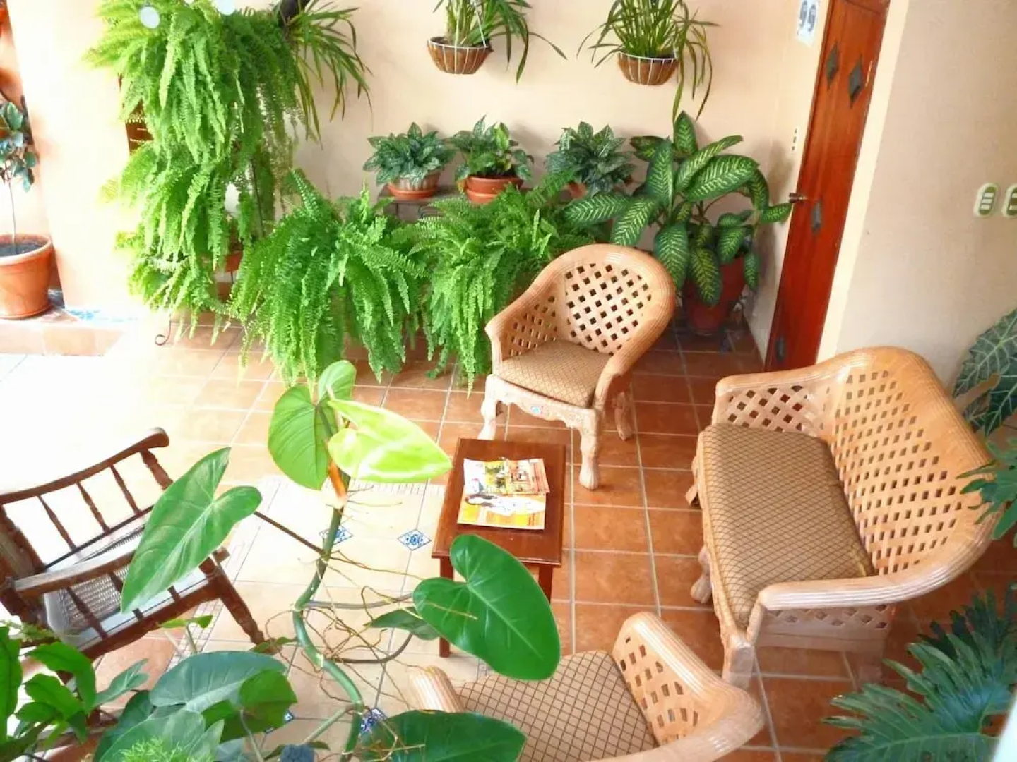 THE Green Frog Inn Bed and Breakfast