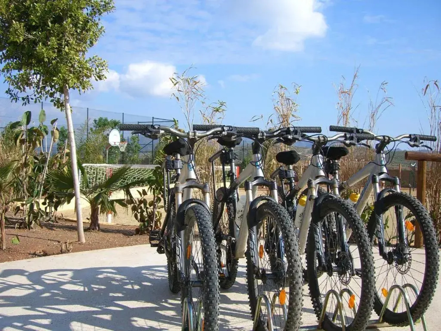 Desert Springs Apartment 354