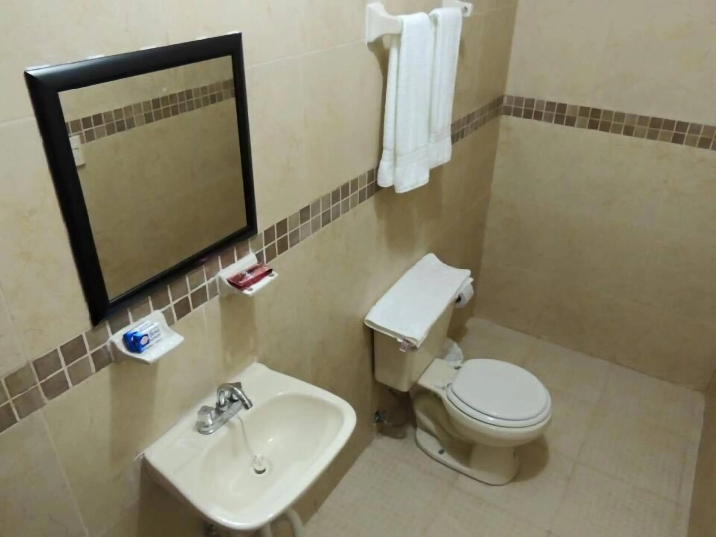 Hotel Palmas D' Victoria