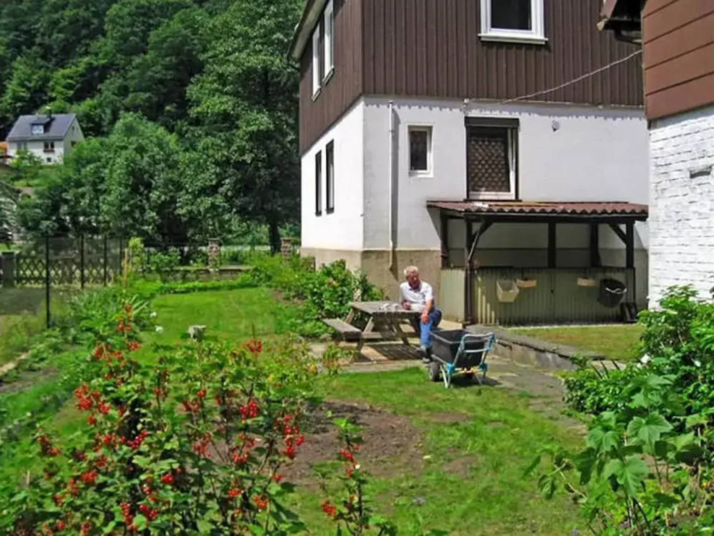 Spacious Group House in the Harz Region