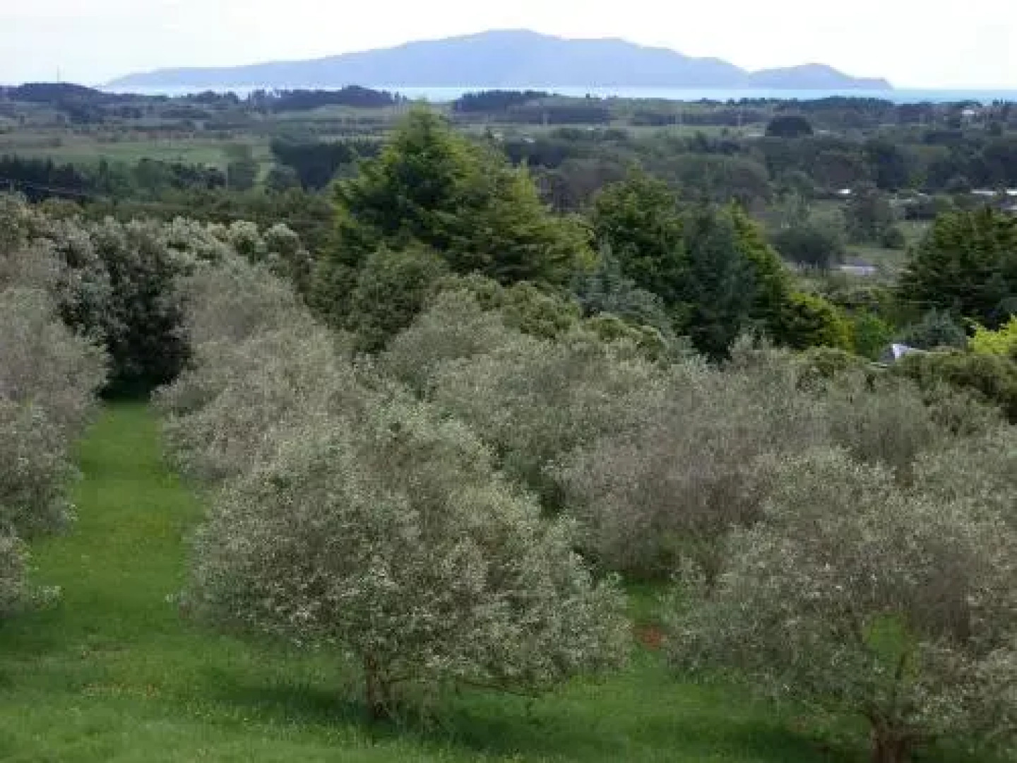 Apartment 45 @ Noble Estate