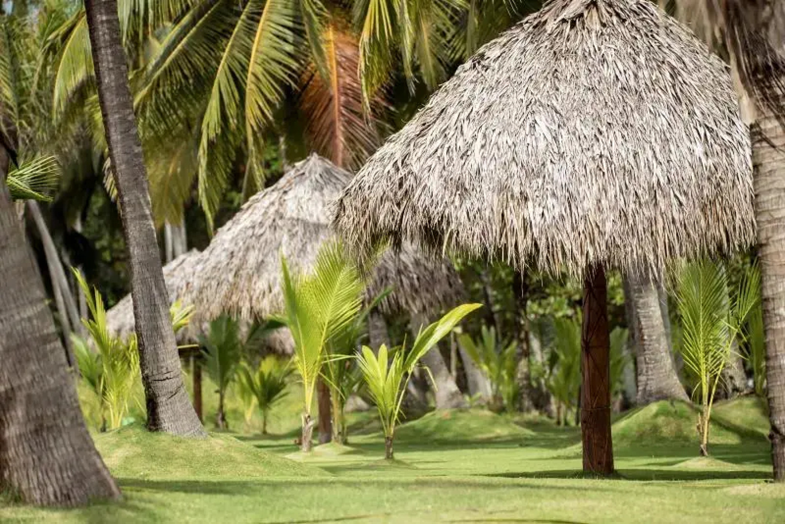 Sunset Del Mar Resort