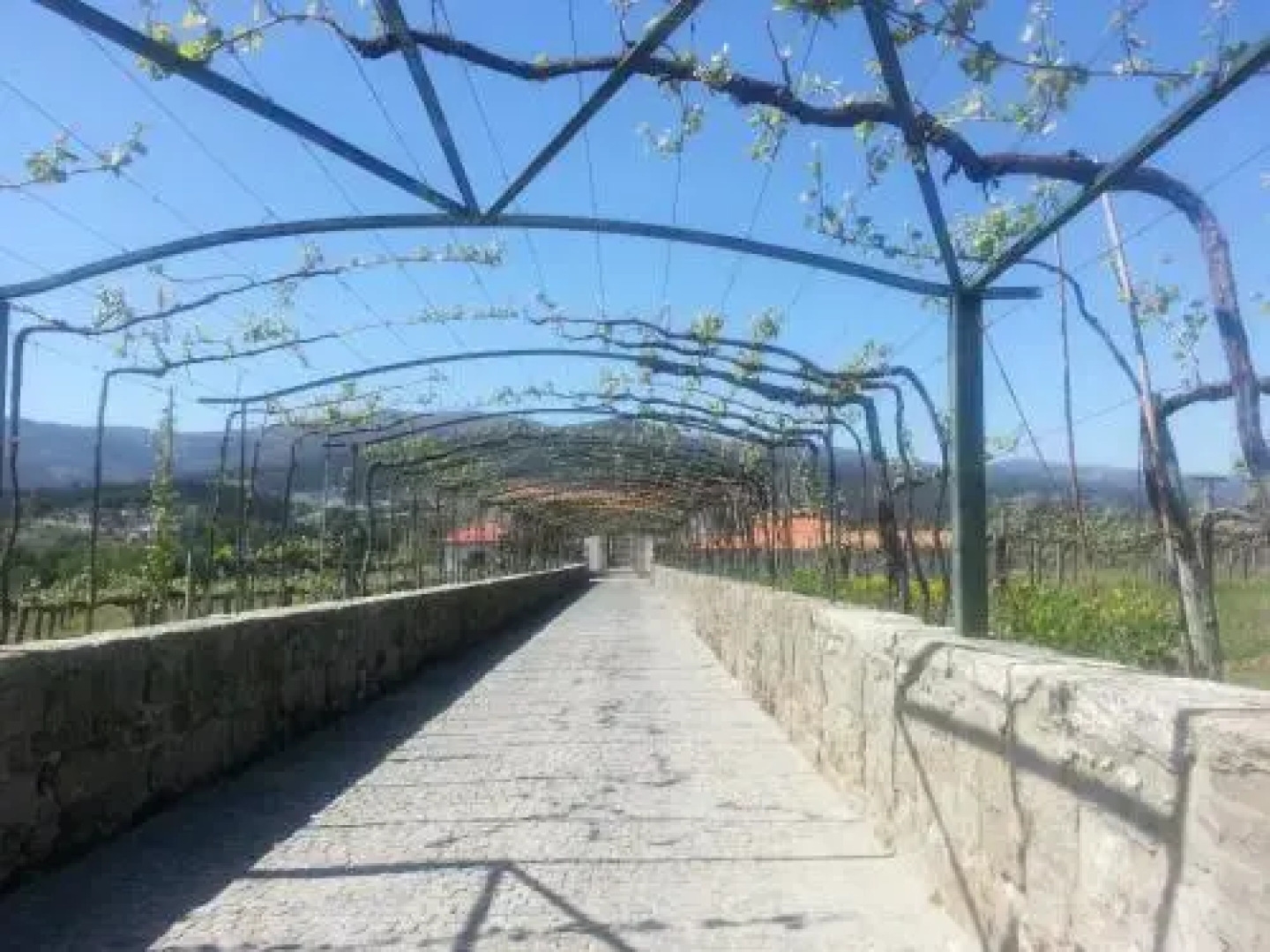 Hotel Reguengo De Melgaço