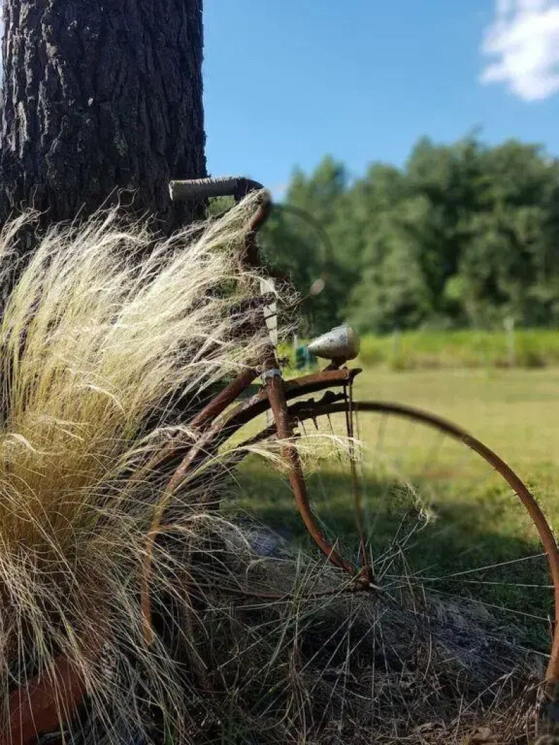 Chambres D'hôtes Chez Jalaine