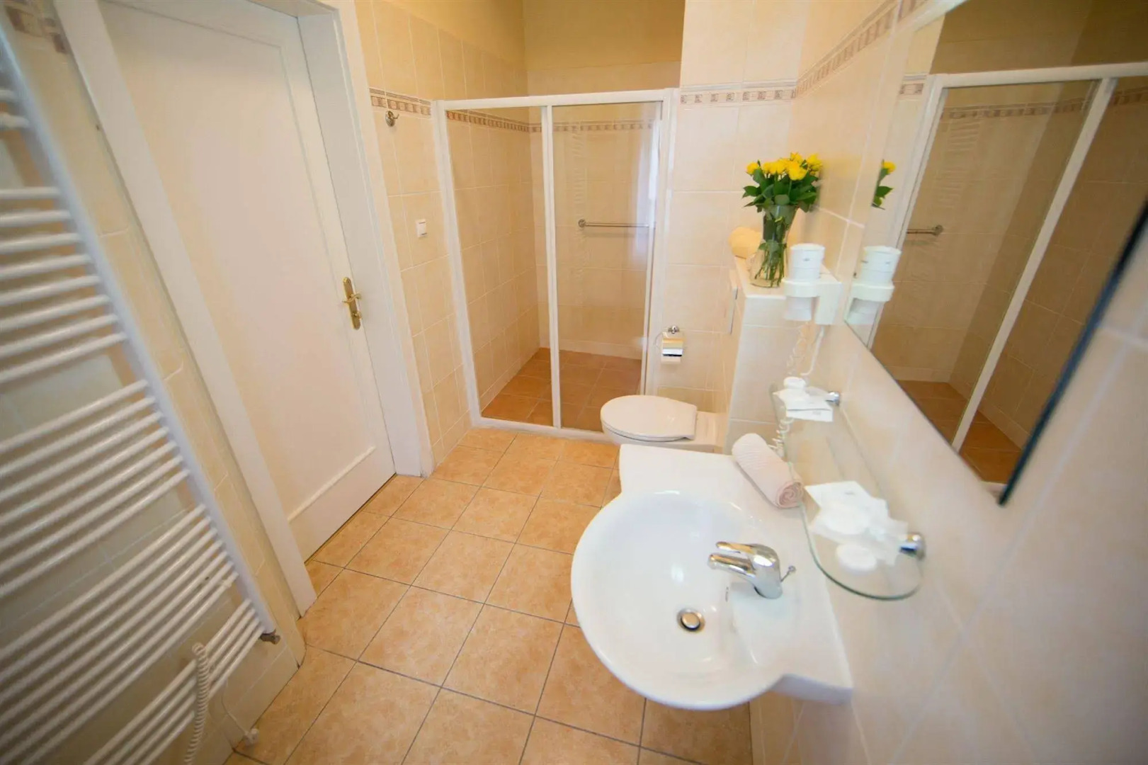 Lázeňská Léčebna Mánes