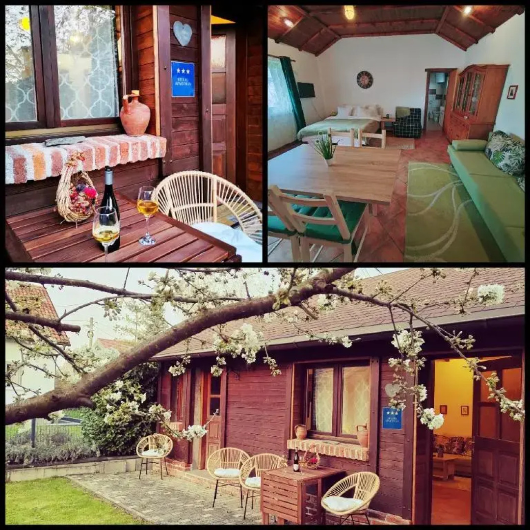 Studio apartman Buteo