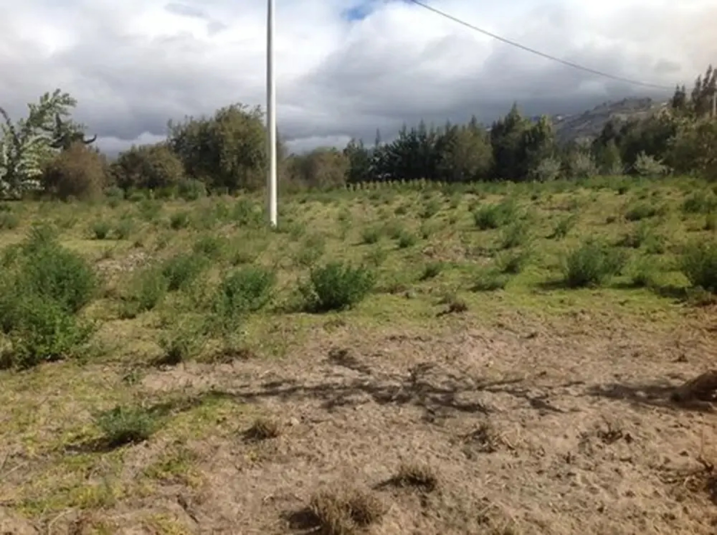 Bella Vista Pujili