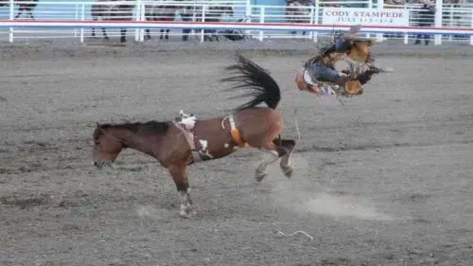 Yellowstone House of the Three Bears