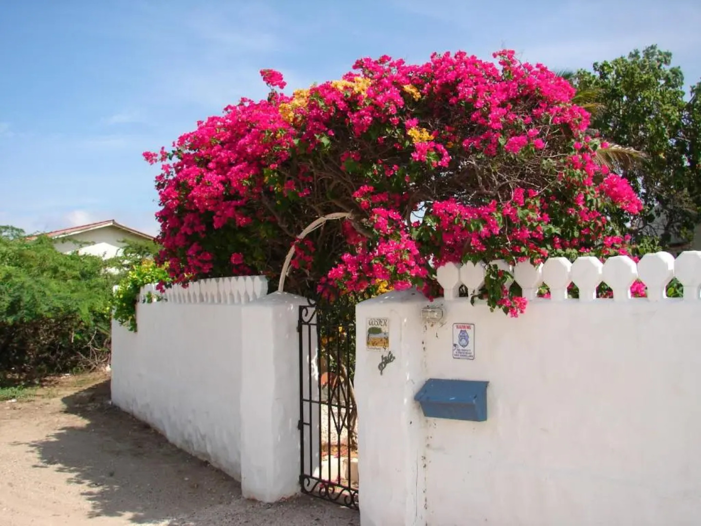 Villa Bougainvillea Aruba