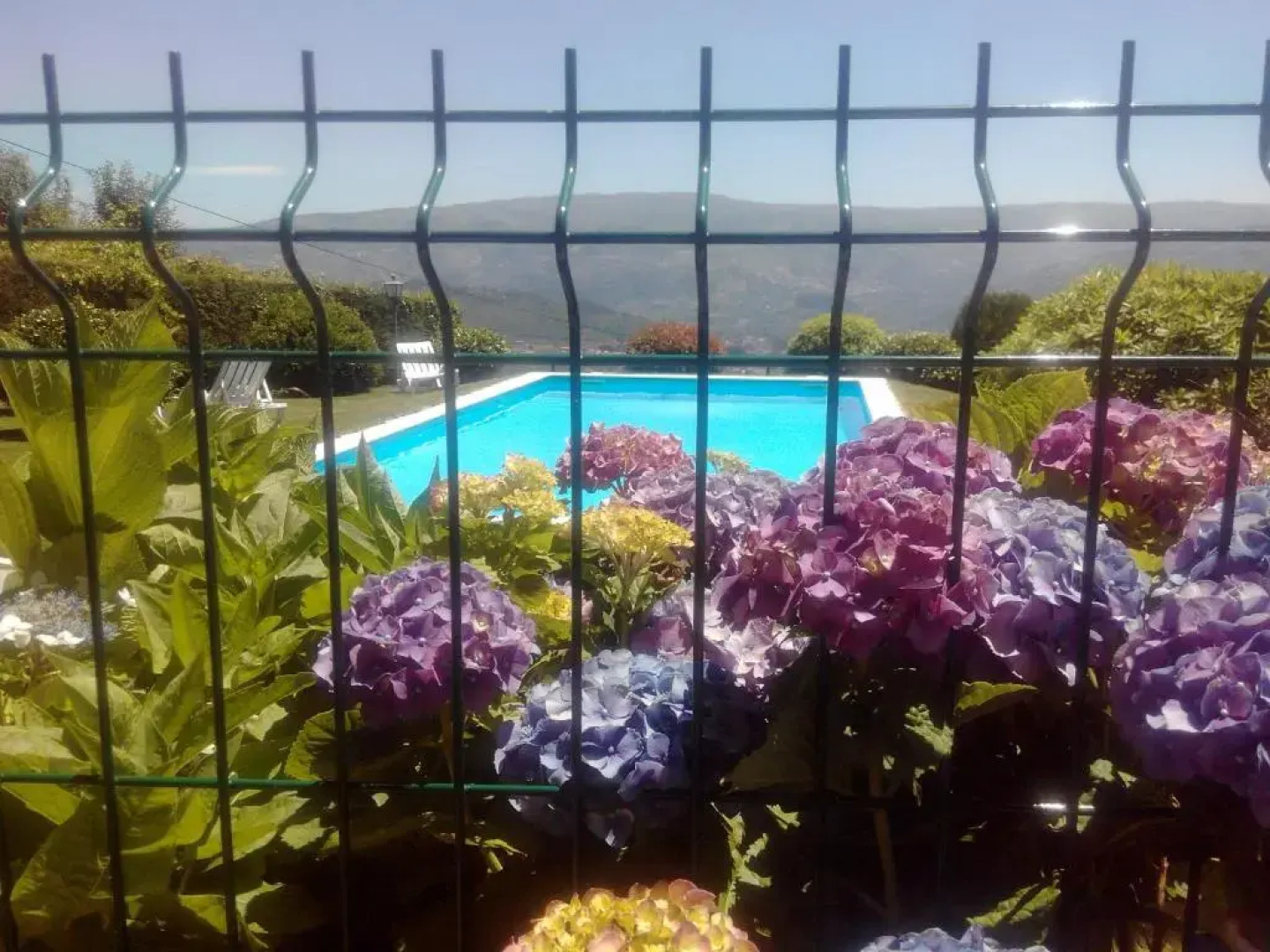 Quinta da Casa Grande Pinheiro