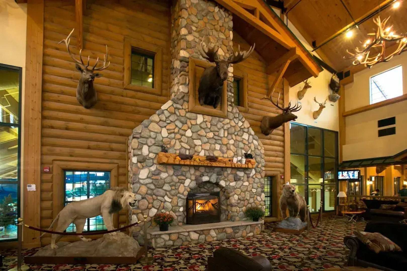 Tundra Lodge