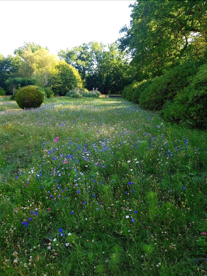 Domaine les Bruyères