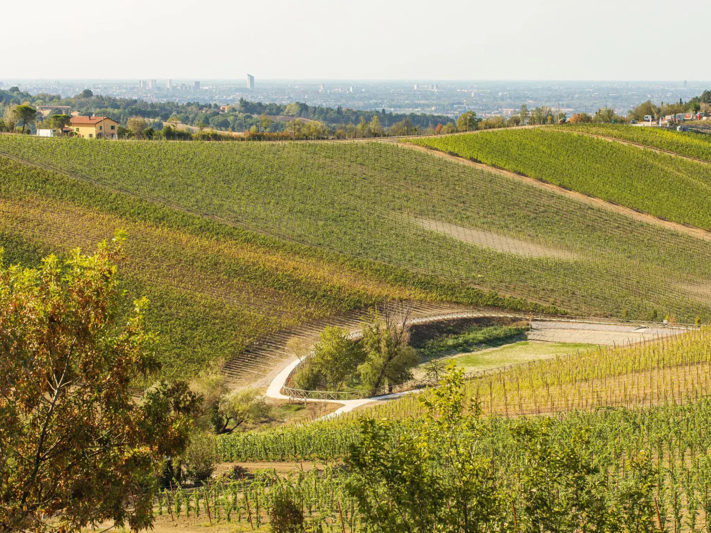 Premium Holiday Home in Castel San Pietro Terme With Pool