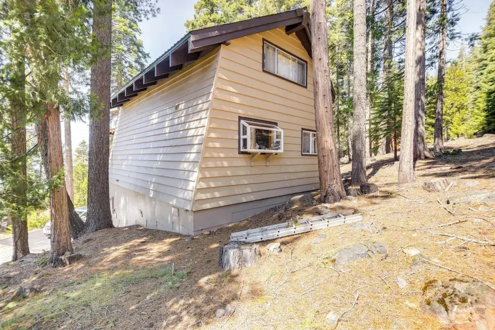 Woodsy Lake Almanor Cabin w/ Community Perks!