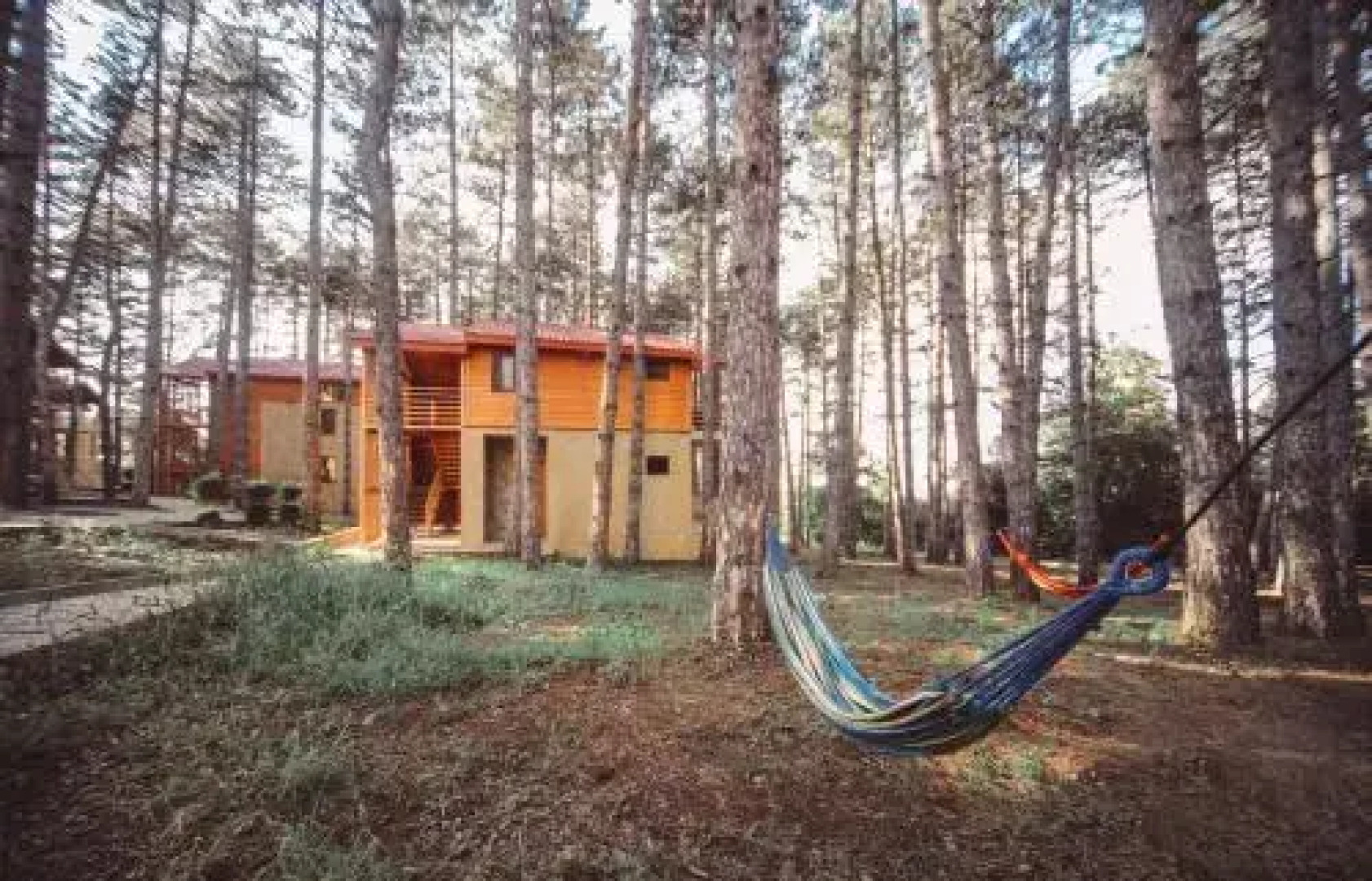 Resort 5 Stars Telavi