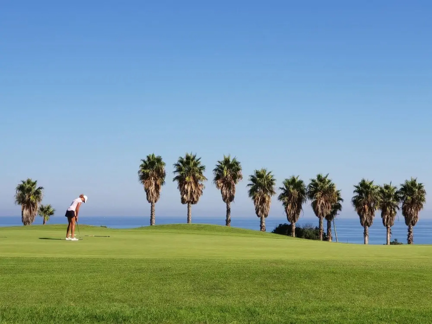 Bahia de las Rocas 2260