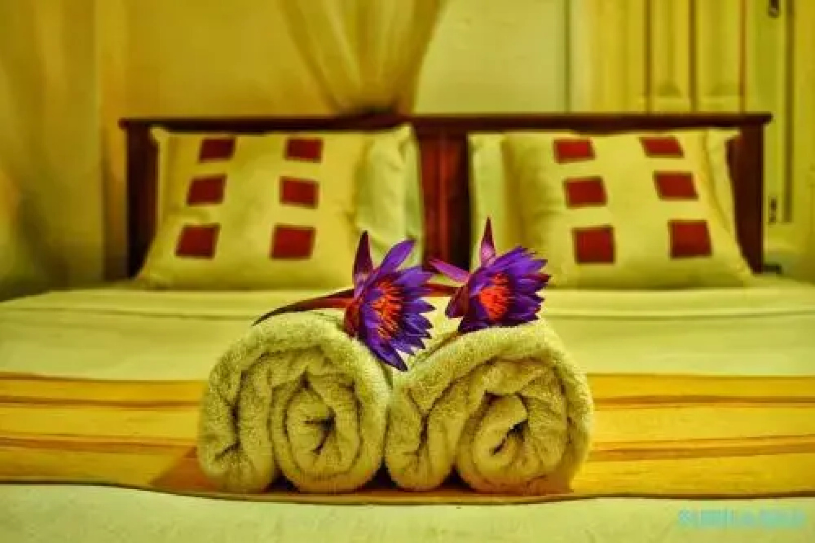 Subhasha Summer Cottage