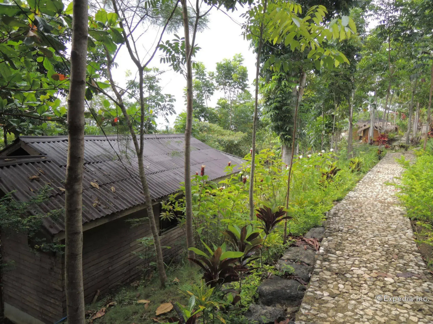 Danasan Eco Adventure Park