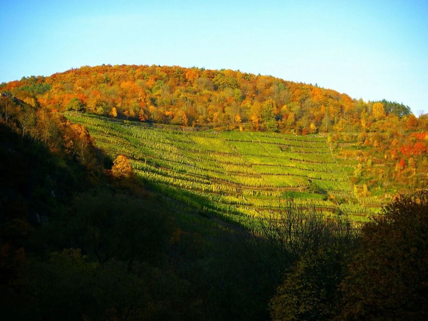 Hotel-Restaurant Ruland