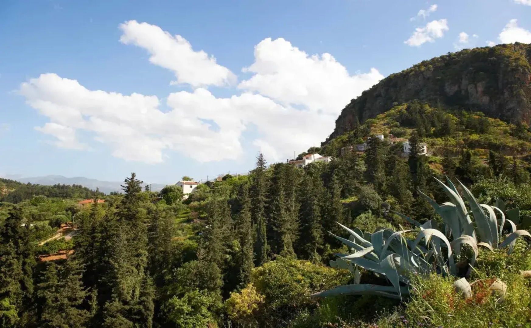 Olga s Filoxenia - Villa Aladanos