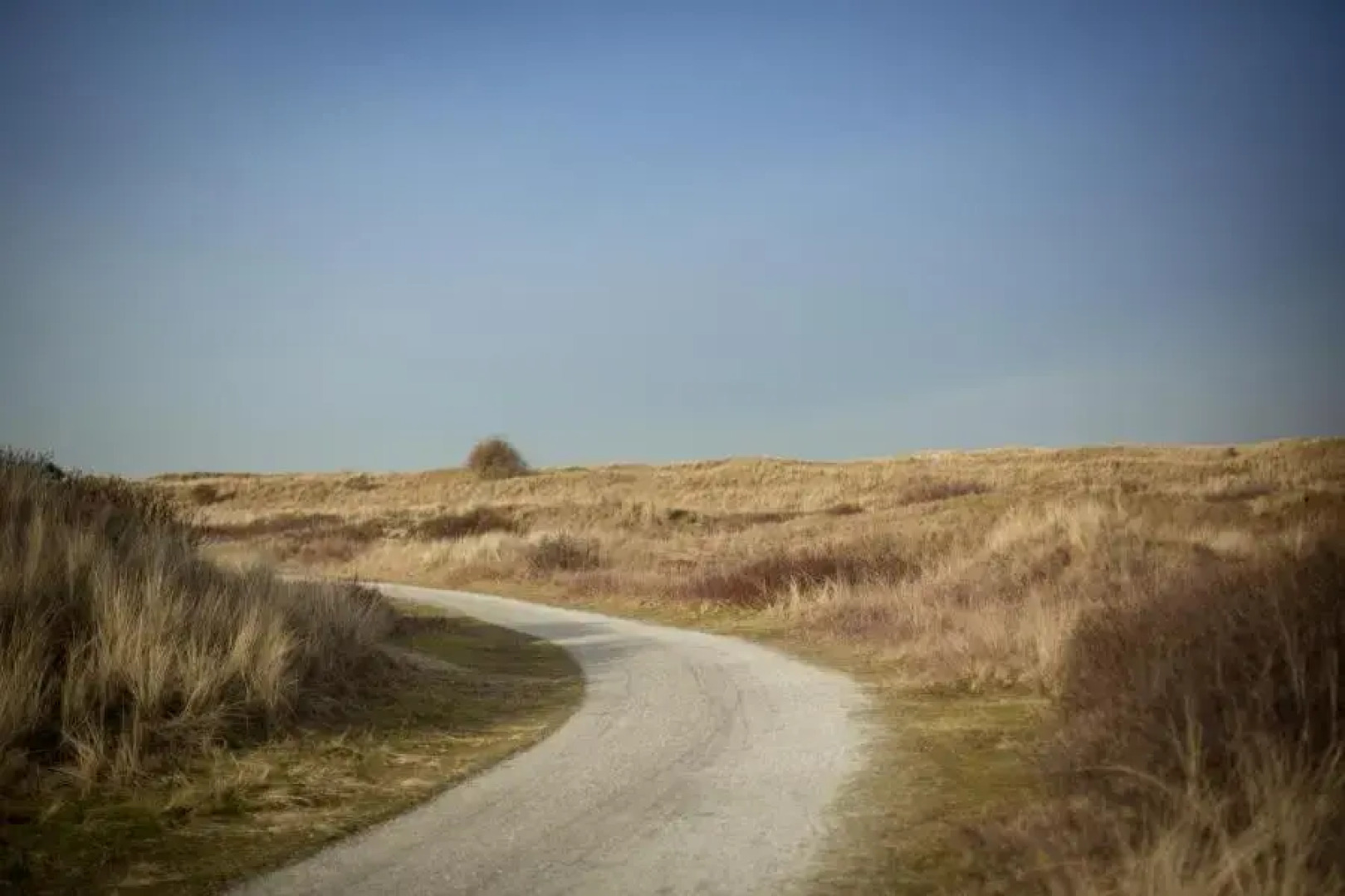Appartementen STRANDHUYS en DE VUURTOREN - Resort Amelander Kaap met Terras en Gratis Verwarmd Binnen ZWEMBAD