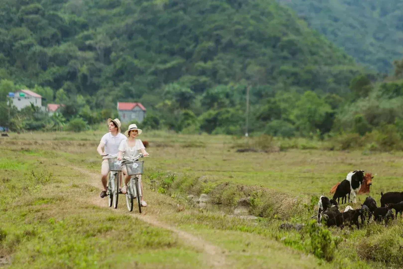 La Regina Legend Cruise