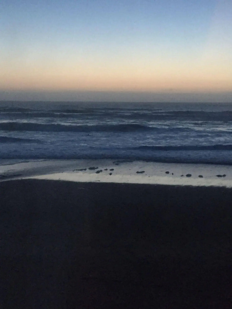 The Sandcastle Beachfront Hotel