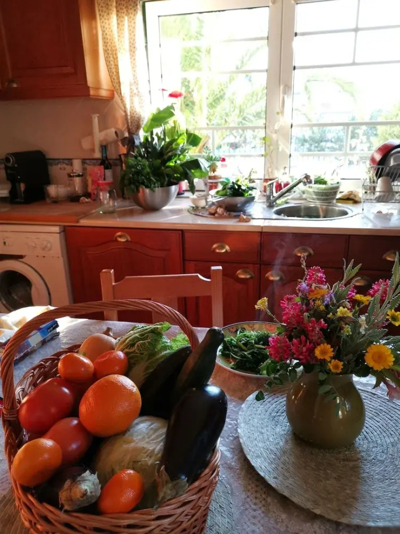 Happy Home 欢乐之家