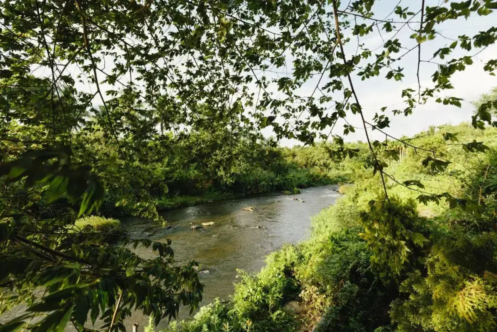 Anaikatti - By The Siruvani, A Sterling Holidays Resort