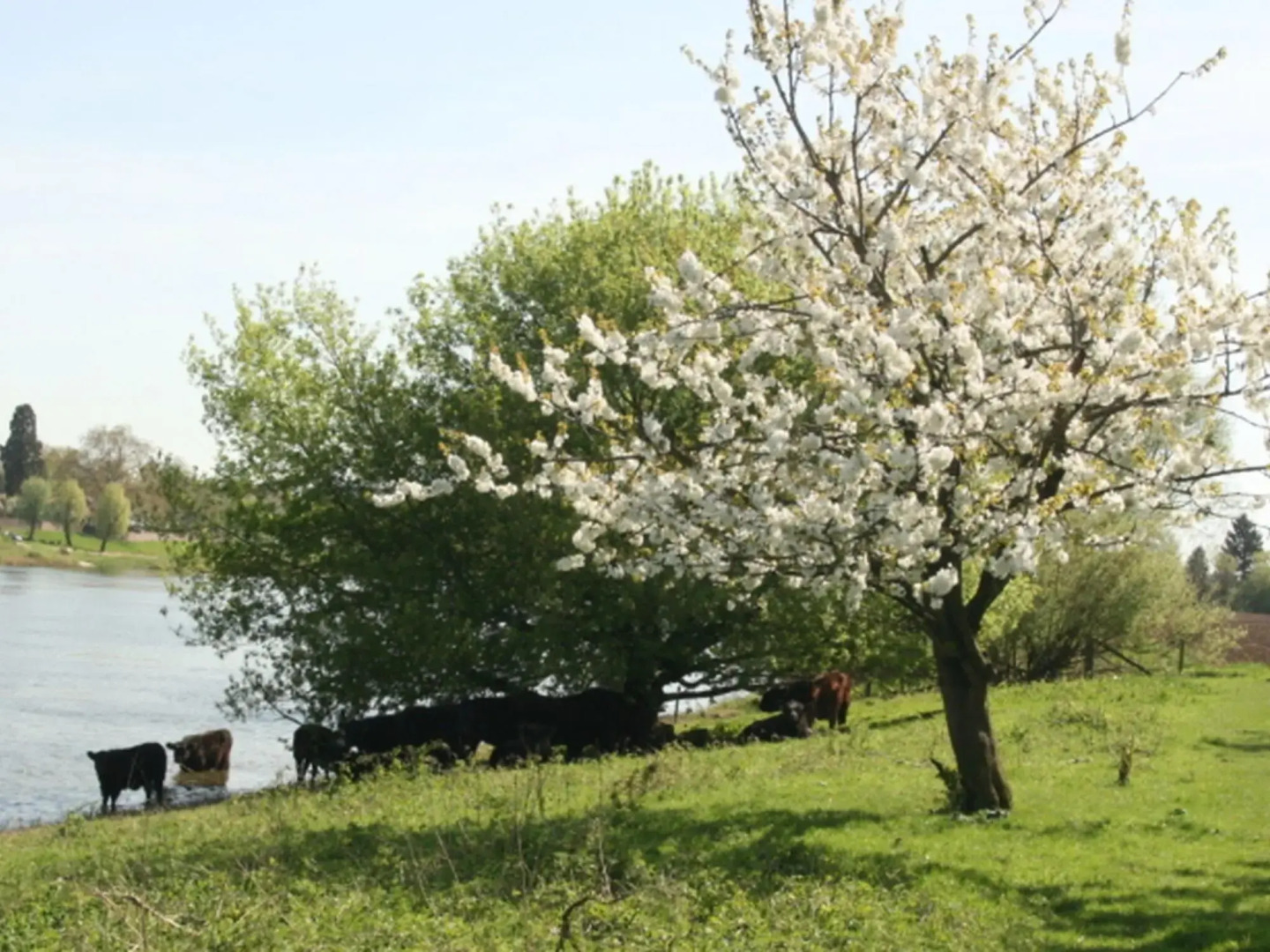 Authentic Holiday Home With a Garden