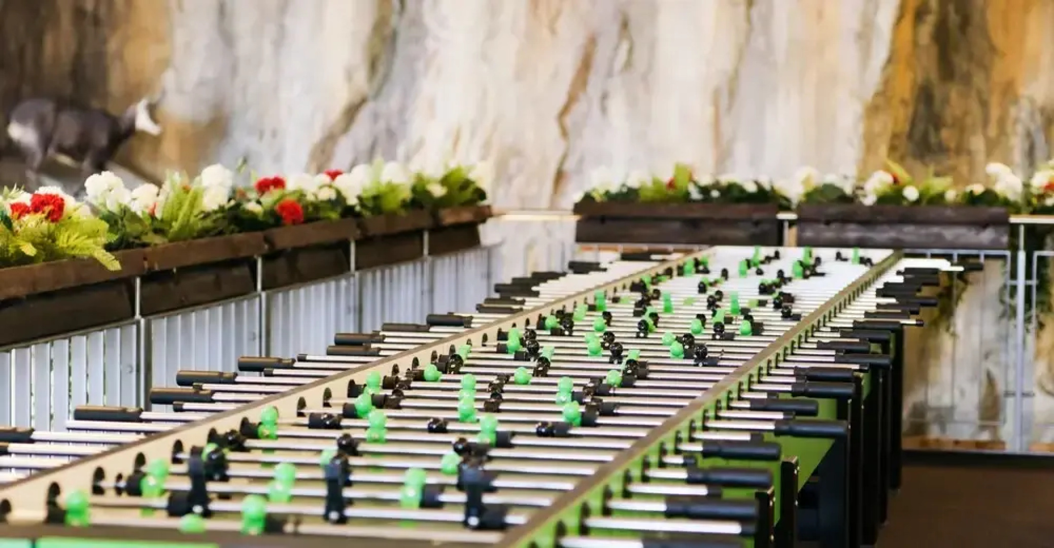 Berg & Tal Abenteuer Resort Bispingen