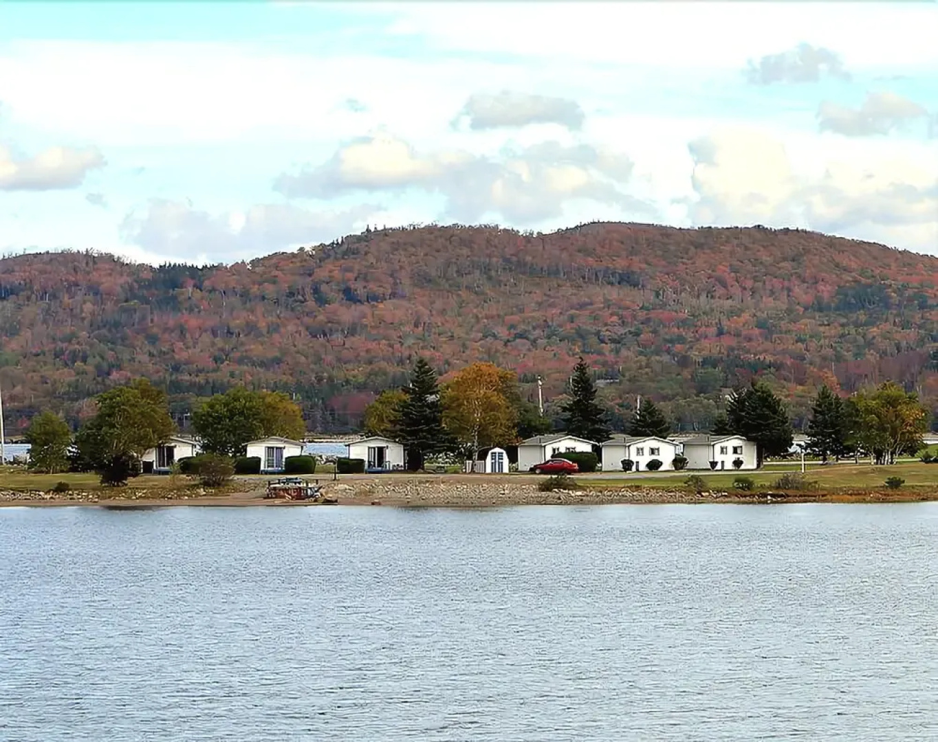 The Cove