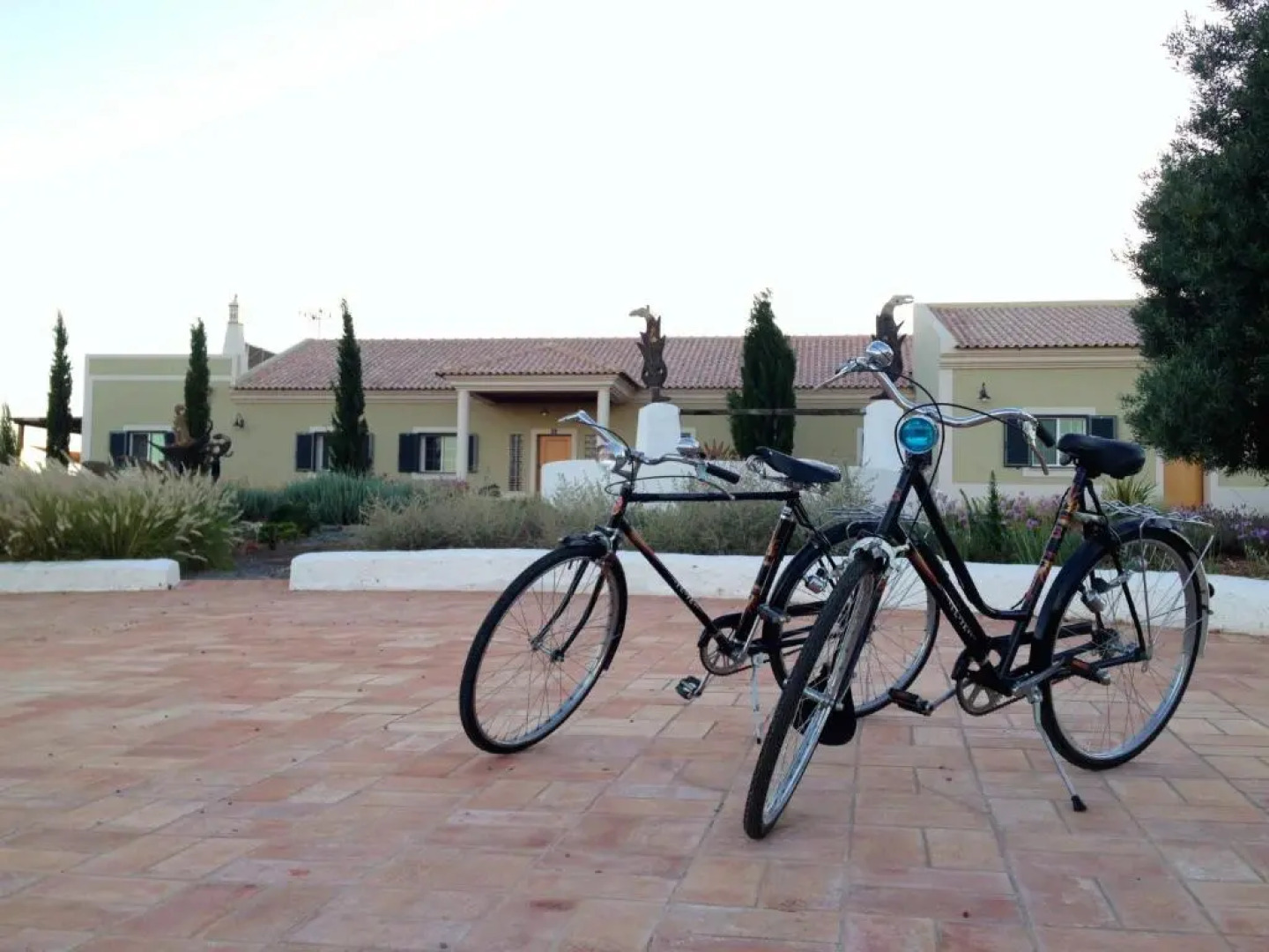 Espargosa Monte de Baixo & Art