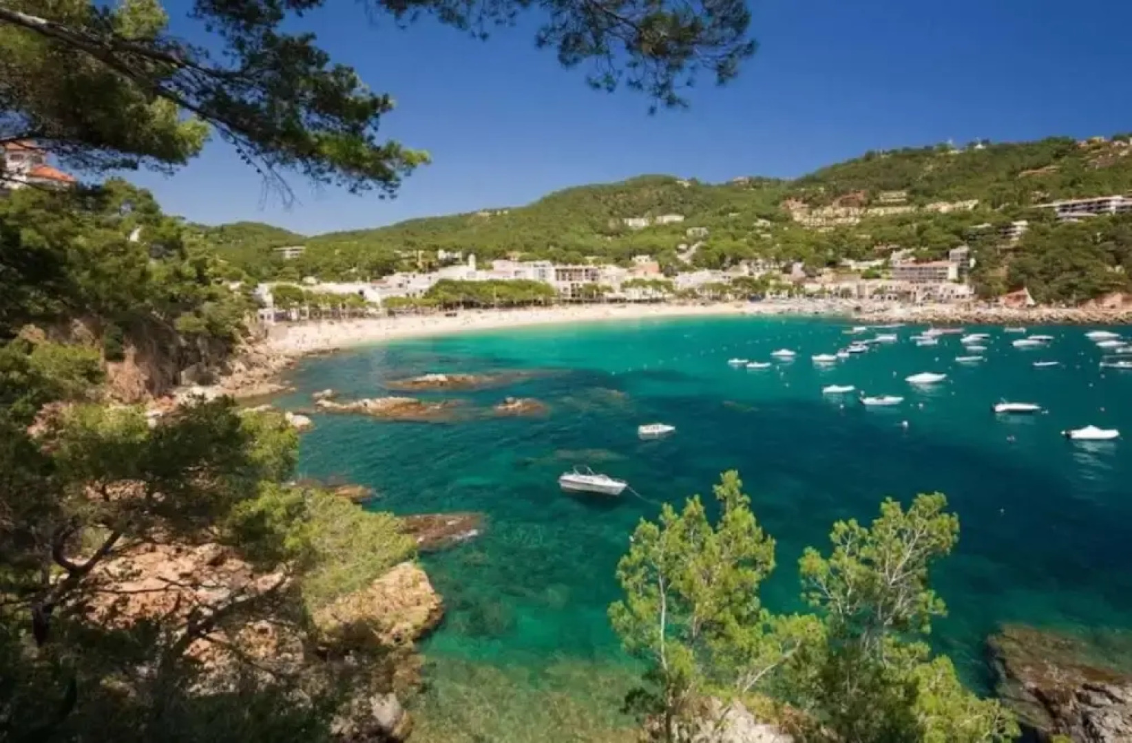 Apartamentos Costa Brava