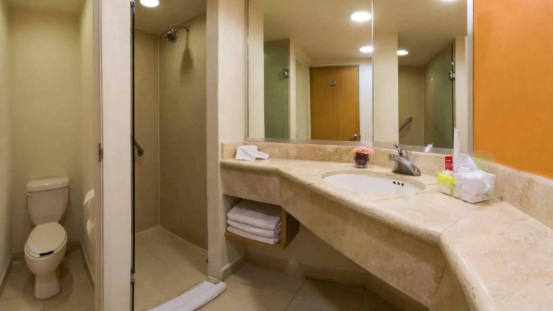 Holiday Inn Orizaba by IHG