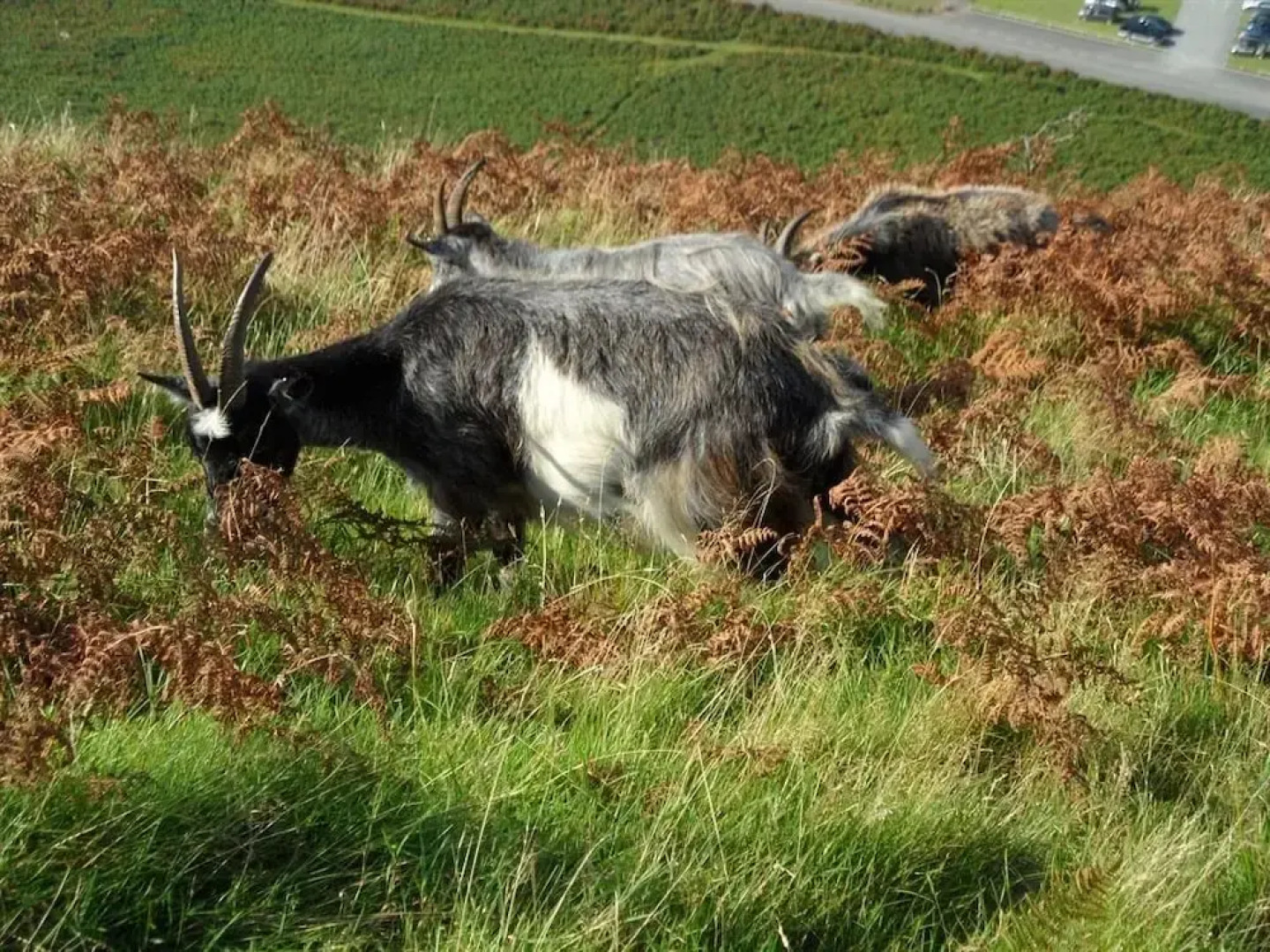 St Vincent Guest House