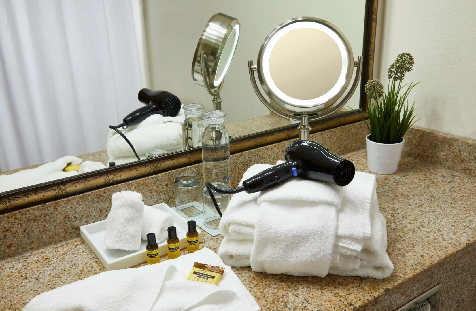 Best Western Plus Lewisville Flower Mound