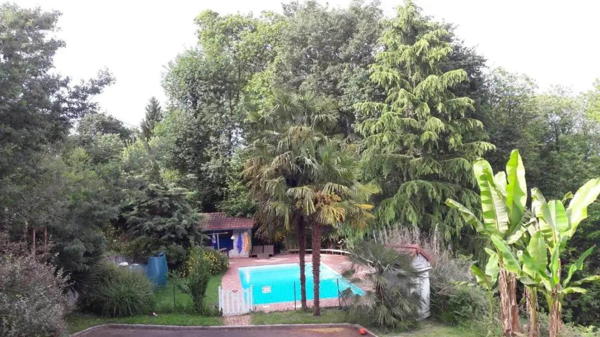 B&B En plein coeur de la forêt