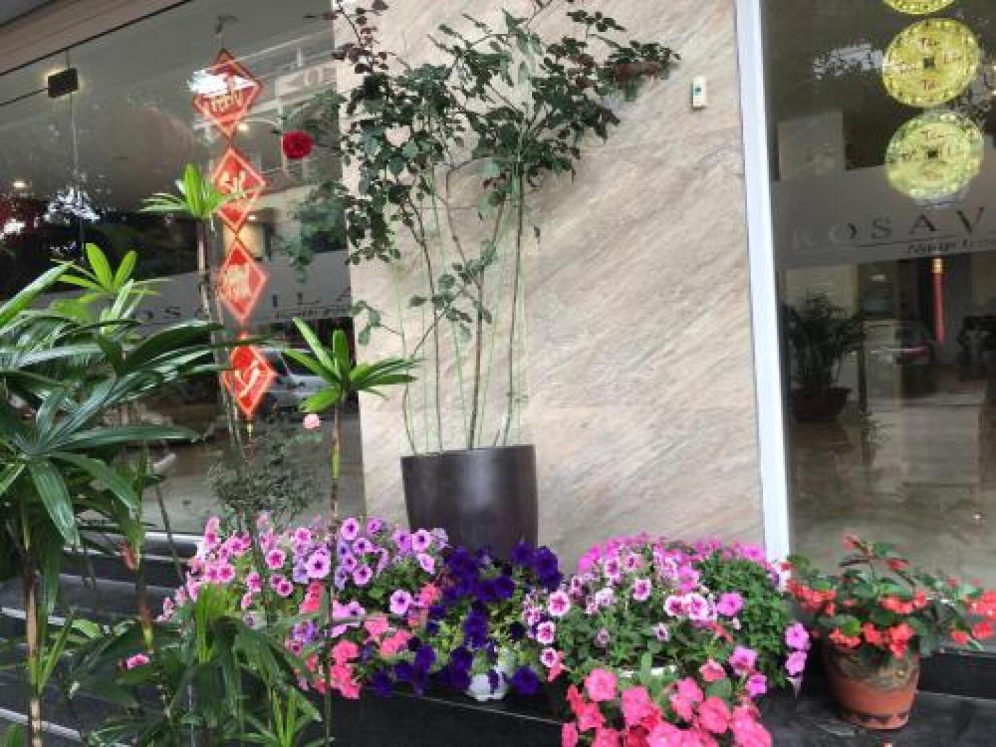 Rosa Villa Hotel & Apartment