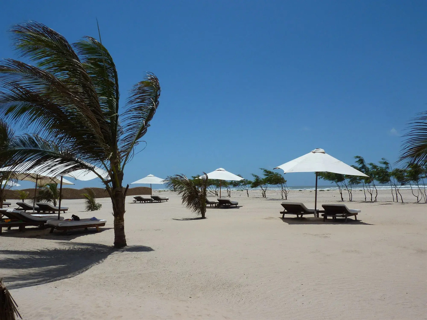 Ocean Beach Resort & Spa