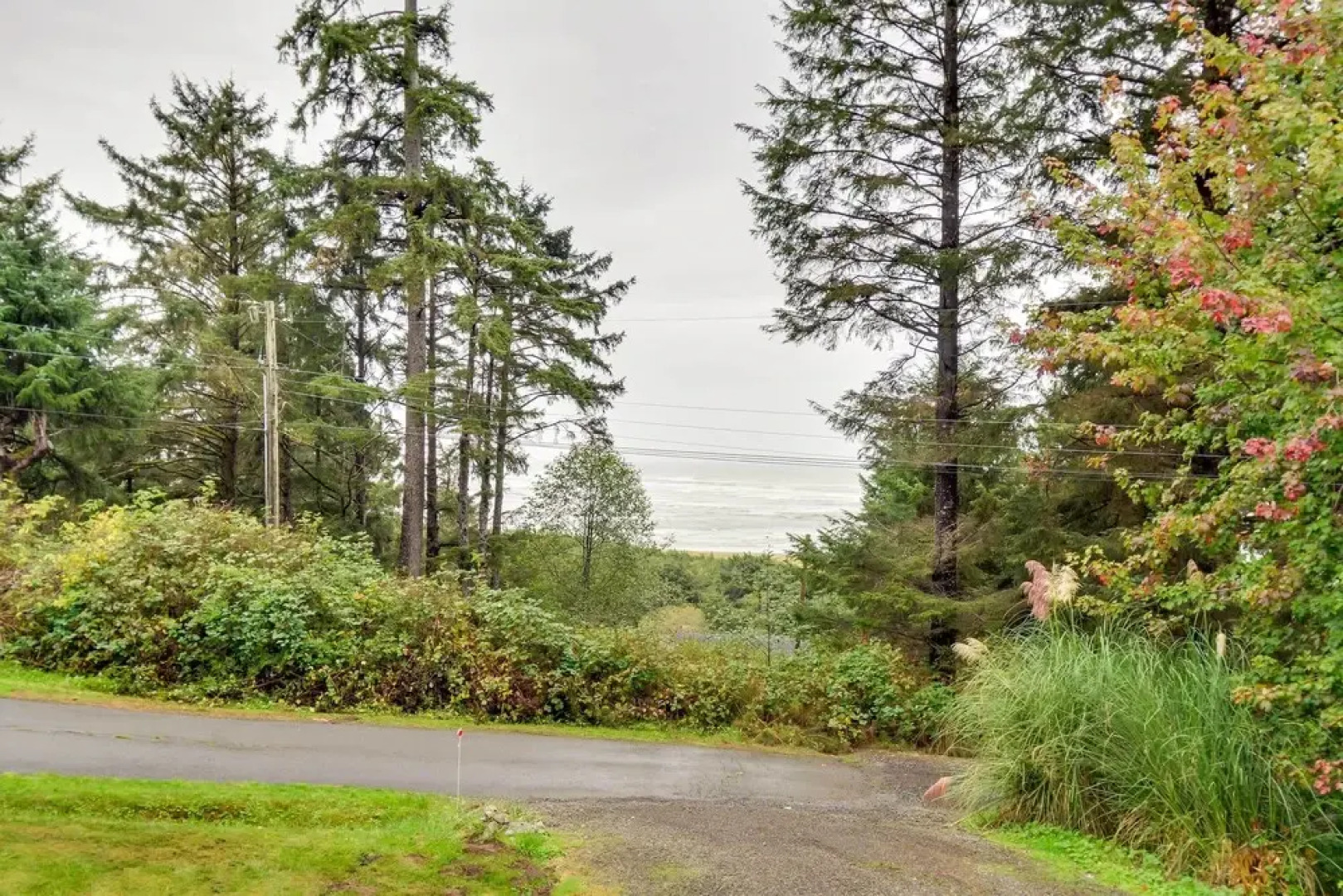 Serene Copalis Beach Getaway: Walk to Beach!