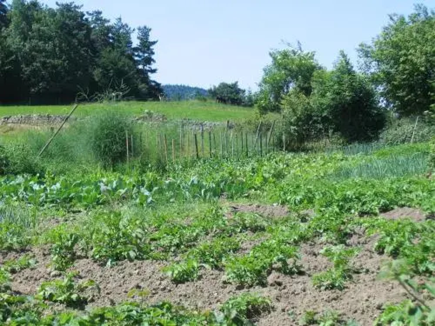 La Ferme Des Genets