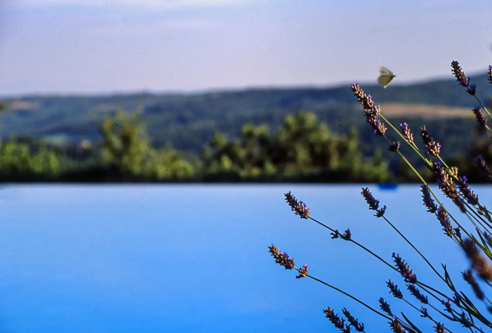 Casa Bosco a Stone Mansion in Chianti