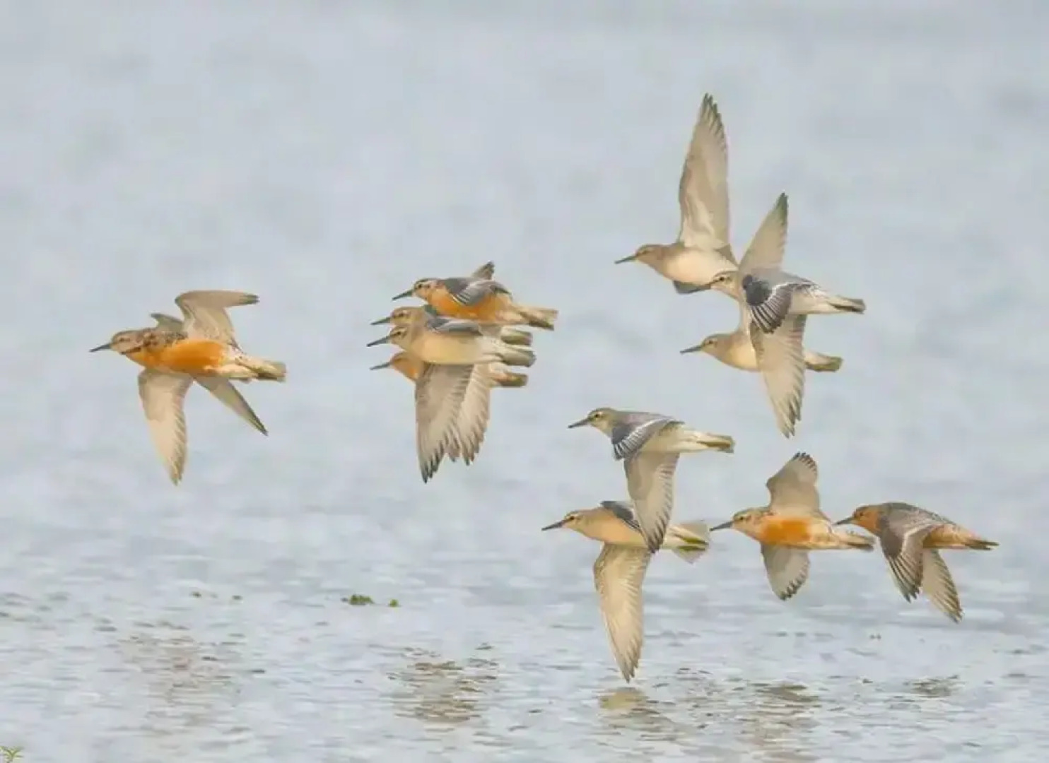 Beautiful House in Village, Newburgh, Ellon