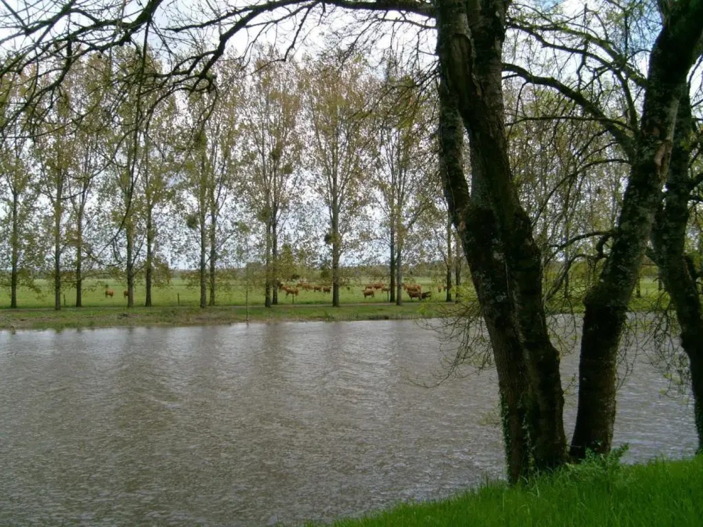 Studio du Chalet de Caharet