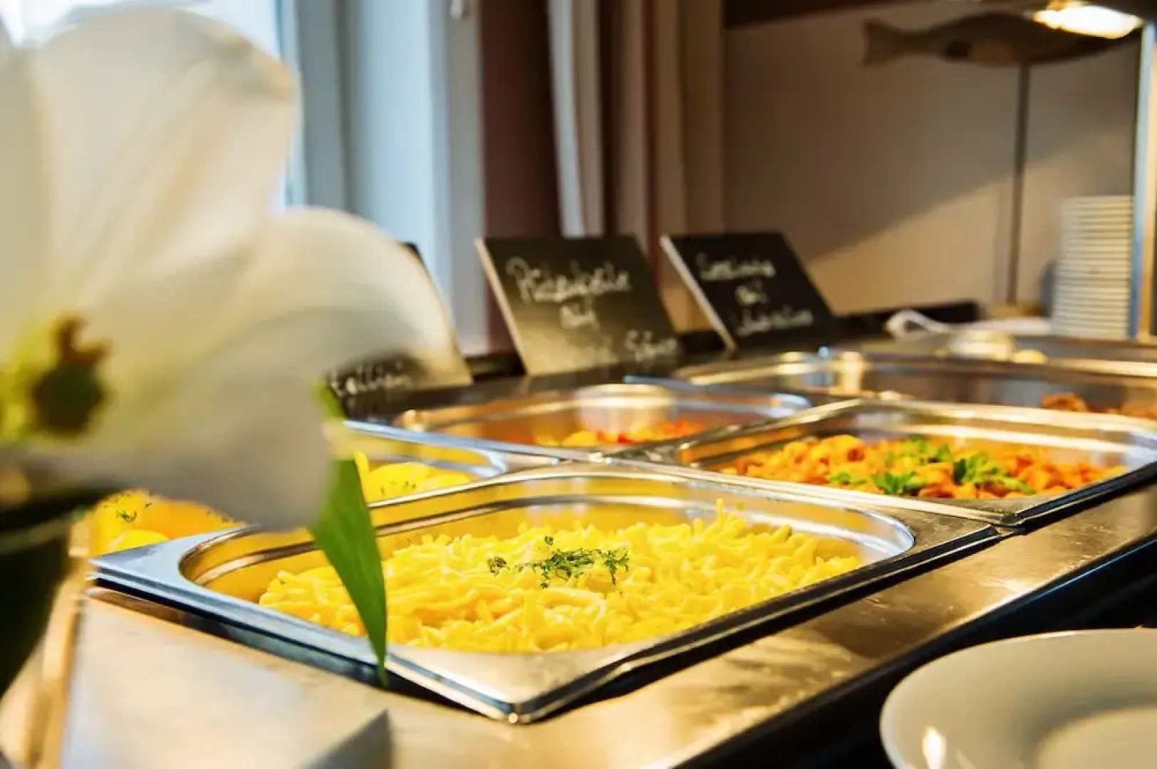 Camp Reinsehlen Hotel