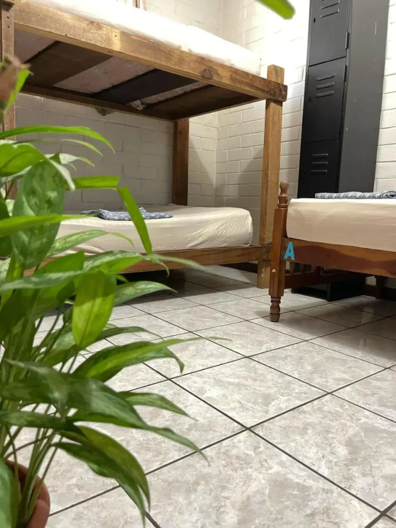 Pool House Hostel