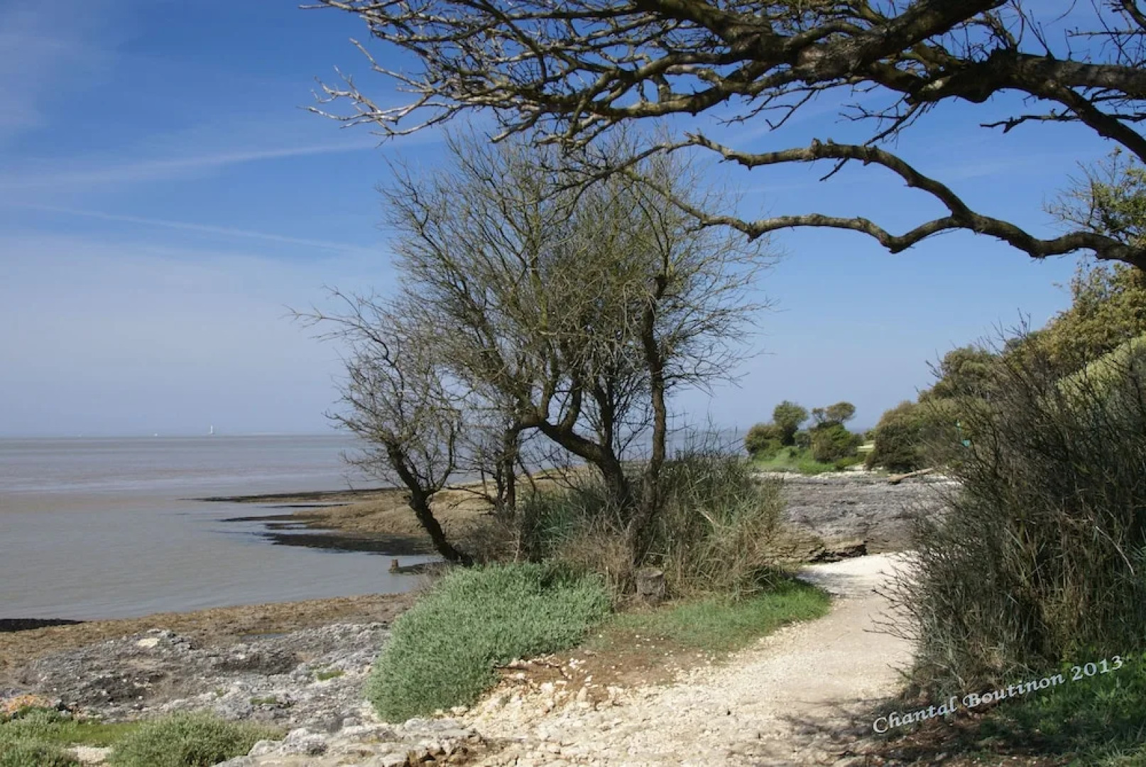 Villa l'Olivier, Chambre d'Hôtes Les Volets Bleus