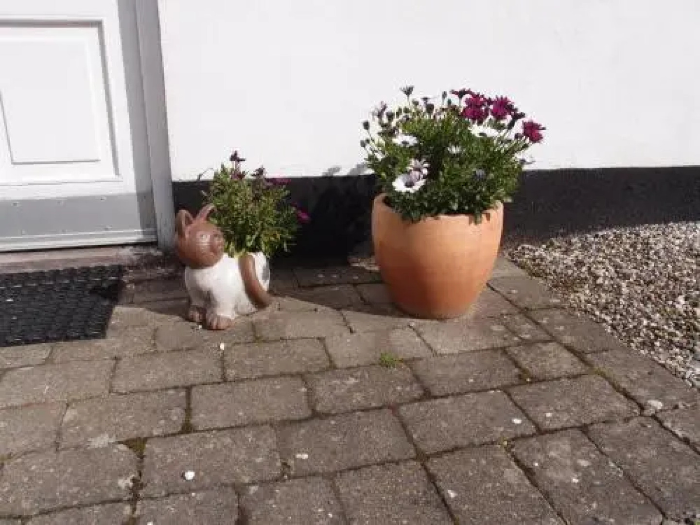 Bjældskovgaard Holiday House